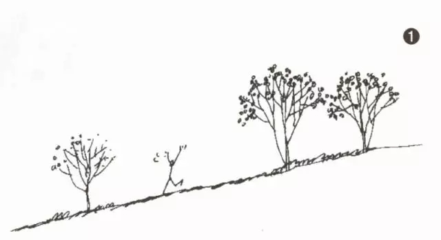 1498791529834257.jpg ltbf018.webp.jpg