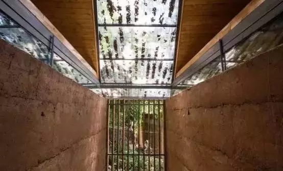 1514275481787524.jpg s03.webp.jpg