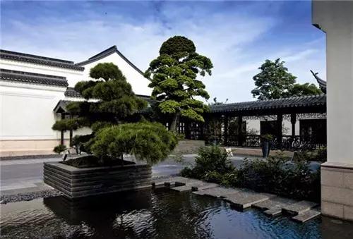 1516765719127507.jpg 010.jpg