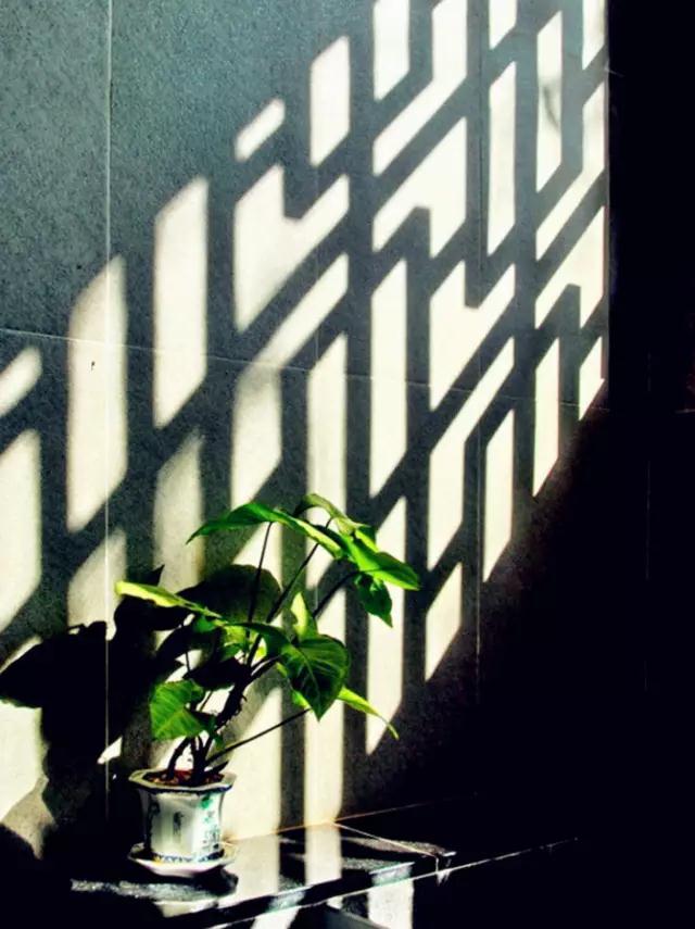 1516765732963438.jpg 011.jpg