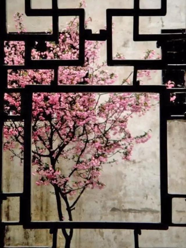 1516765779831503.jpg 015.jpg