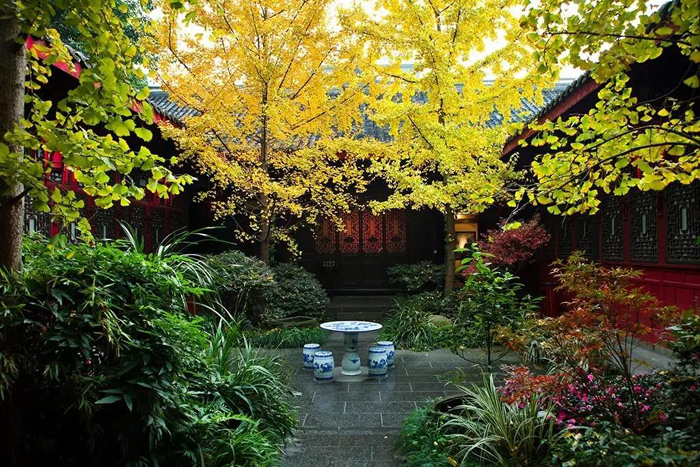 1516765868104007.jpg 019.jpg