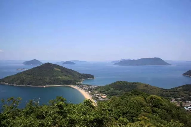 1516939324110372.jpg 02.webp.jpg