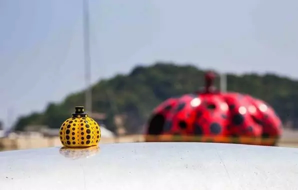 1516939359134216.jpg 07.webp.jpg