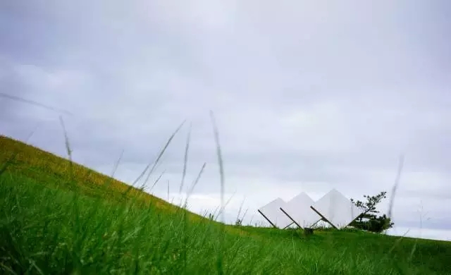 1516939500993818.jpg 027.webp.jpg