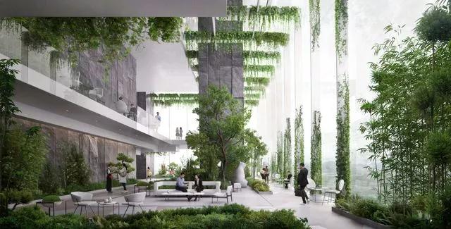 1533541117640269.jpg 08.jpg