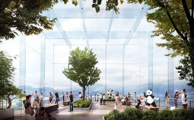 1533541156579336.jpg 010.jpg