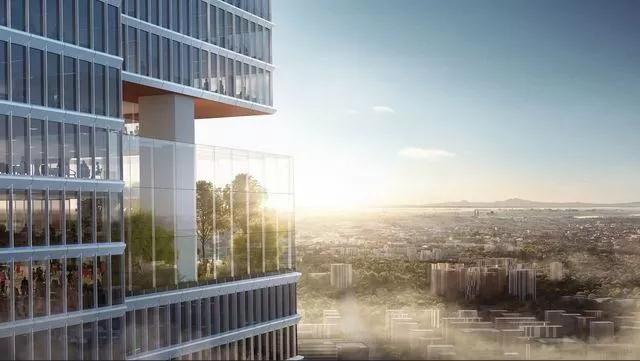 1533541168483720.jpg 011.jpg