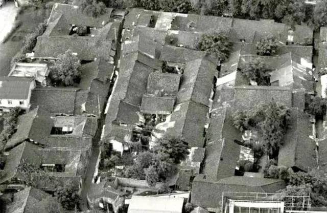 1536043029802327.jpg 016.jpg