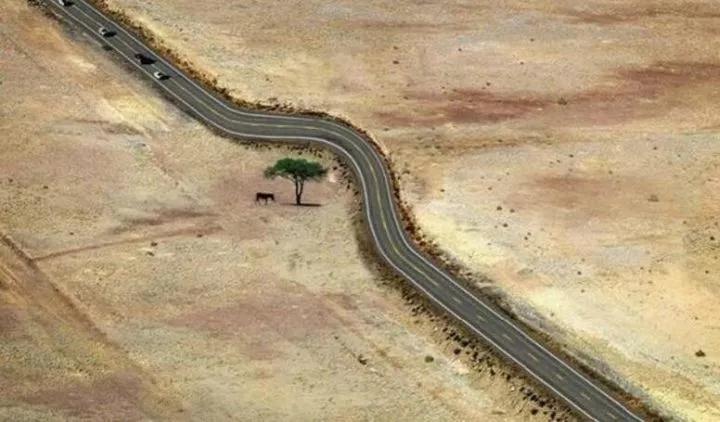 1544857103550978.jpg 01.jpg