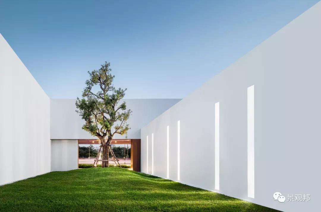 1550804696117799.jpg 02.jpg