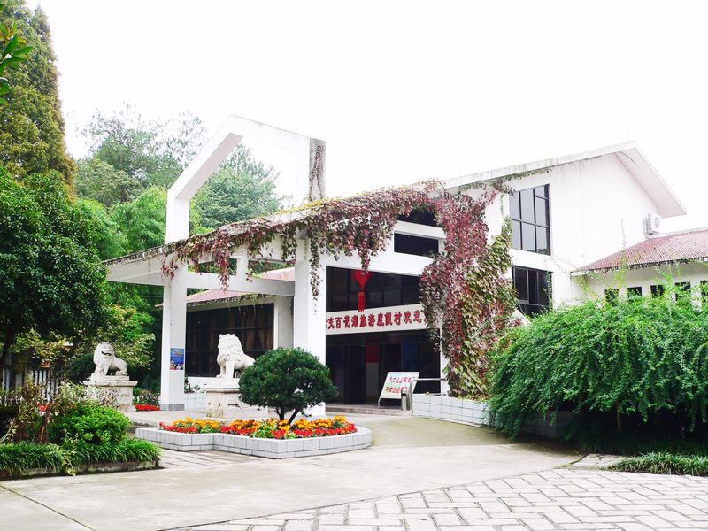 1551678184682656.jpg 02.jpg