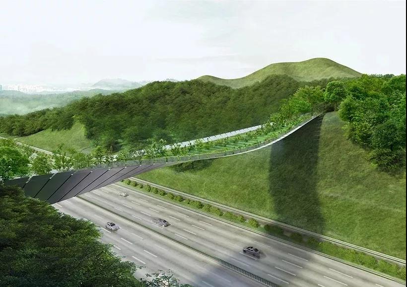 1566787769942611.jpg 03.jpg