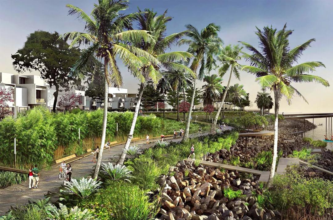 1571814611499884.jpg 08.jpg