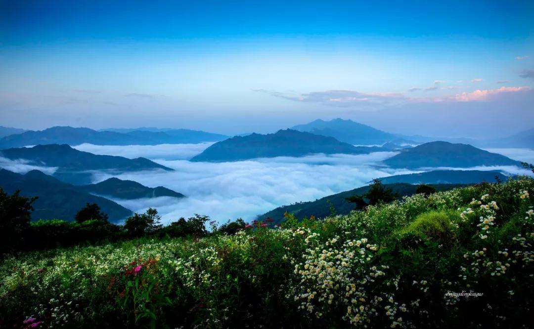 1574222563230396.jpg 01.jpg