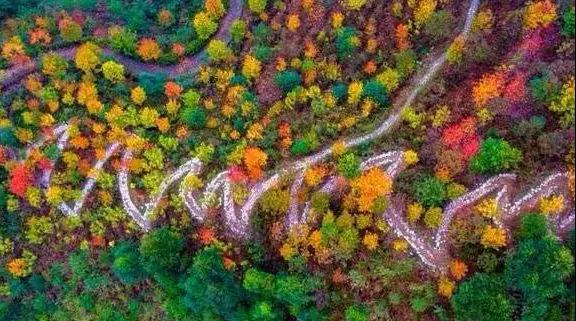 1574222581359474.jpg 02.jpg