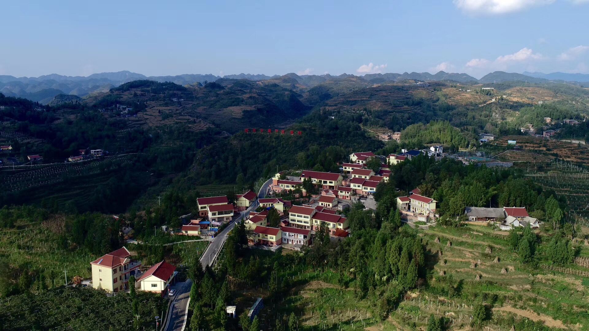 1574646879322955.jpg 06.jpg