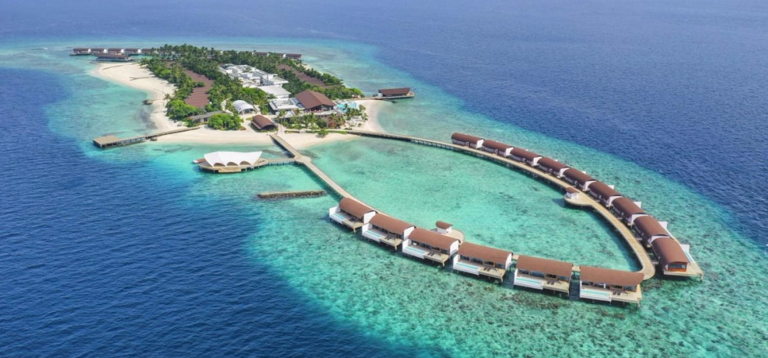 1589168953822248.png 01.png