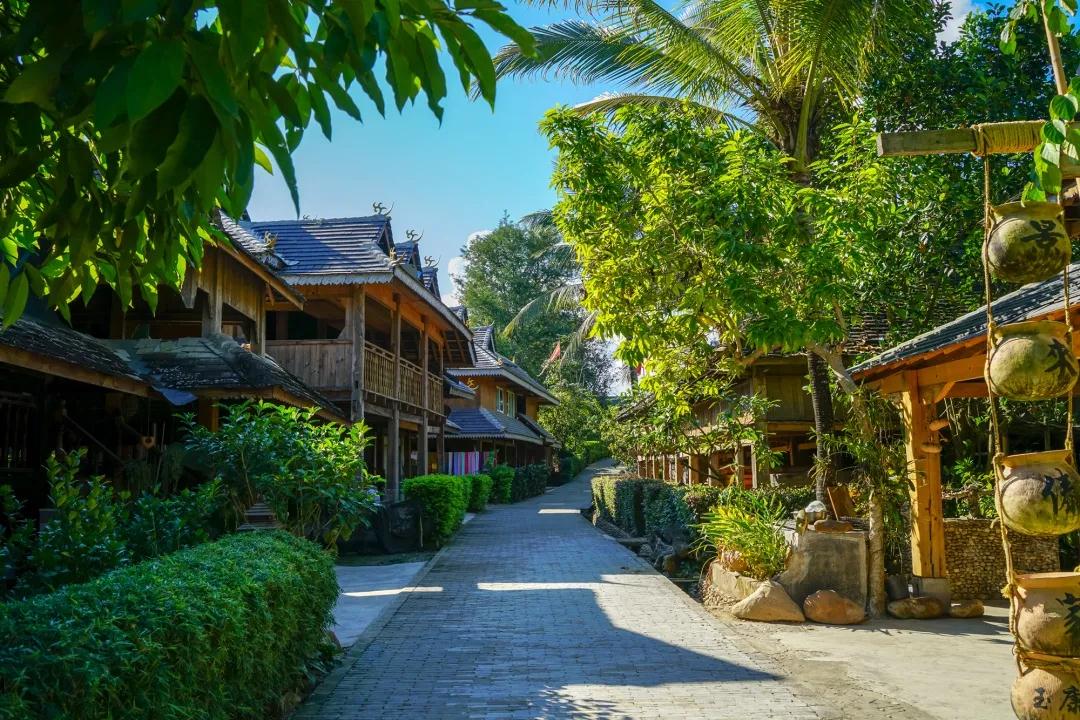 1591848478772794.jpg 02.jpg