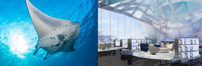 1592459778808954.png 09.png