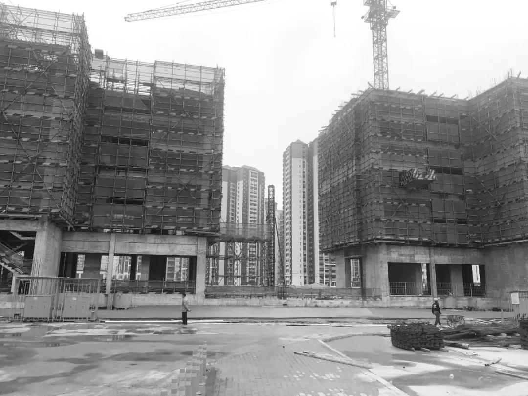 1593574038888218.jpg 03.jpg