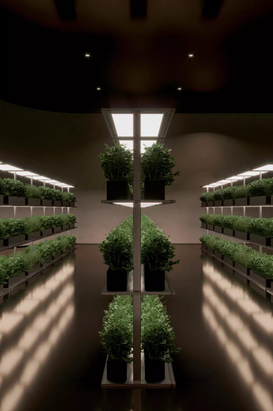 1595212425680053.jpg 020.jpg