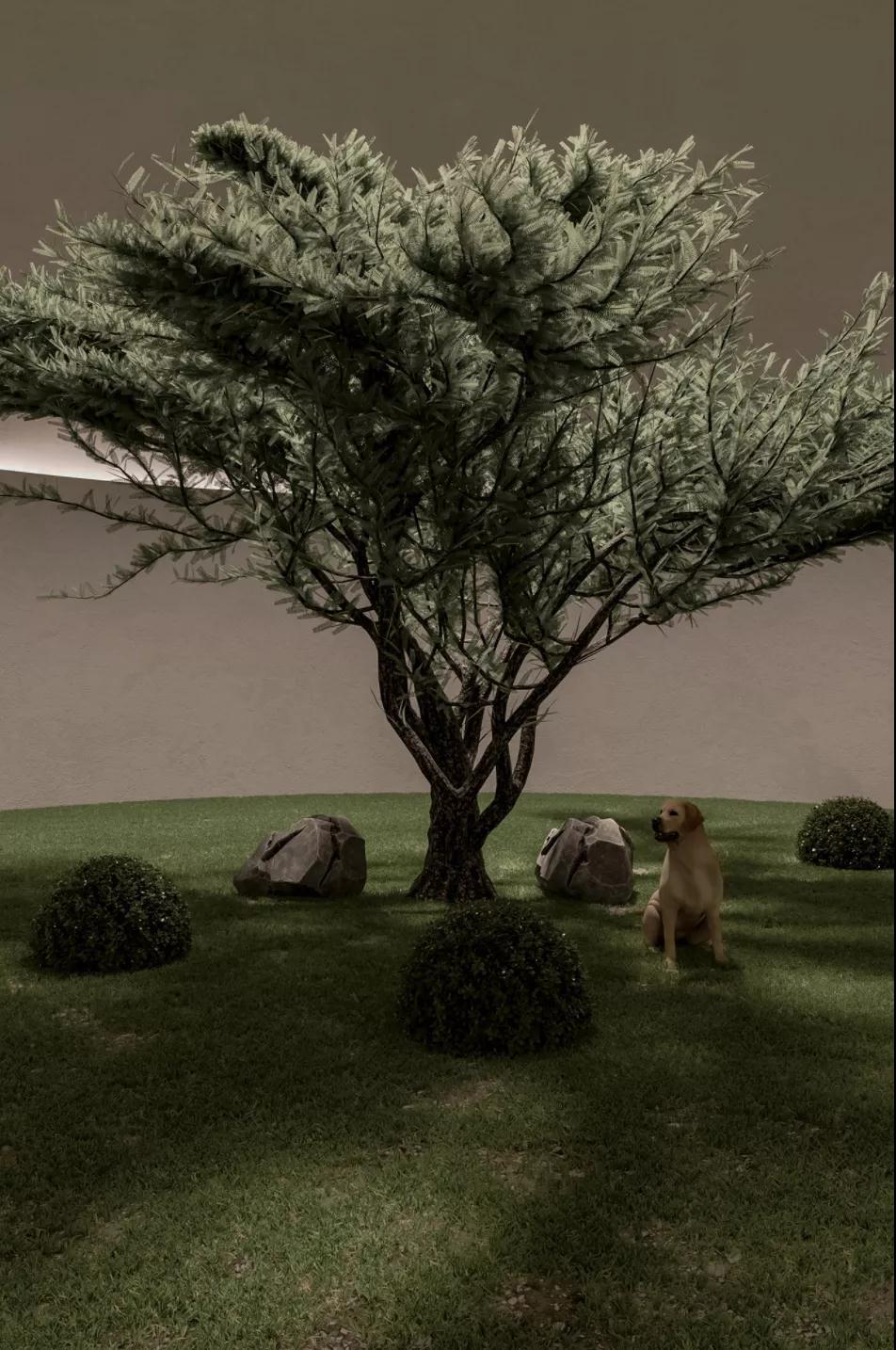 1595212533656454.jpg 028.jpg