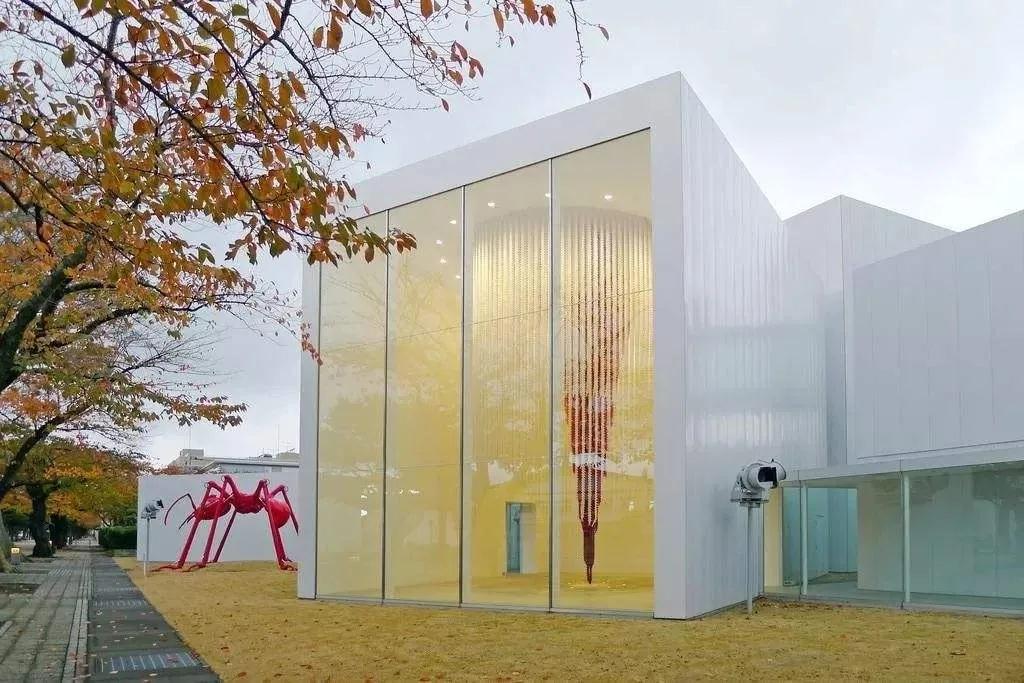 1595814799384858.jpg 04.jpg