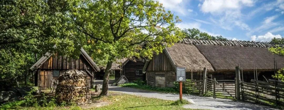 1597819440243065.jpg 010.jpg