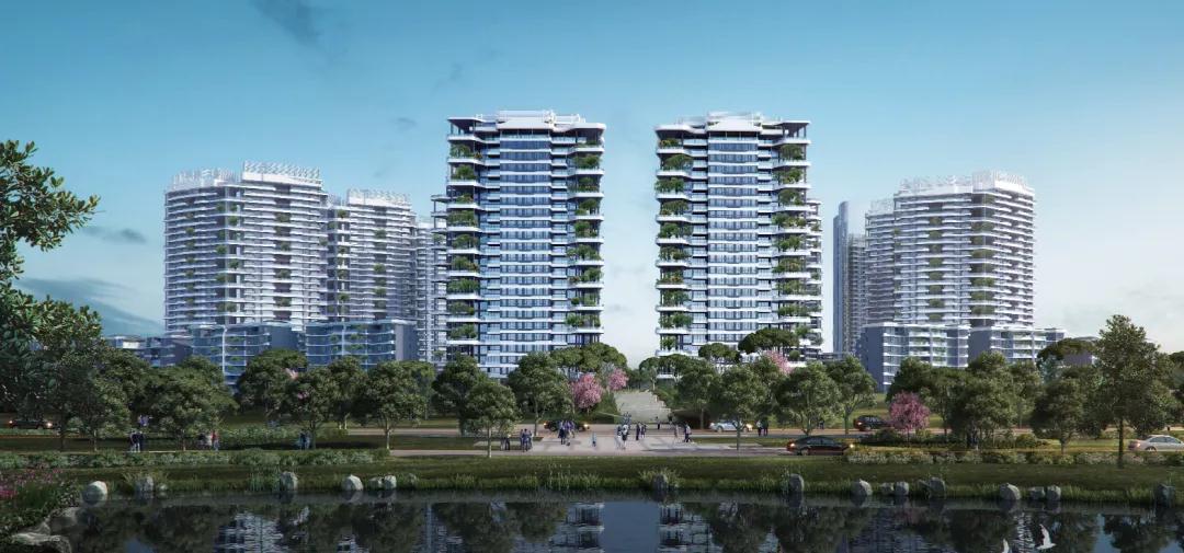 1600052529683424.jpg 05.jpg