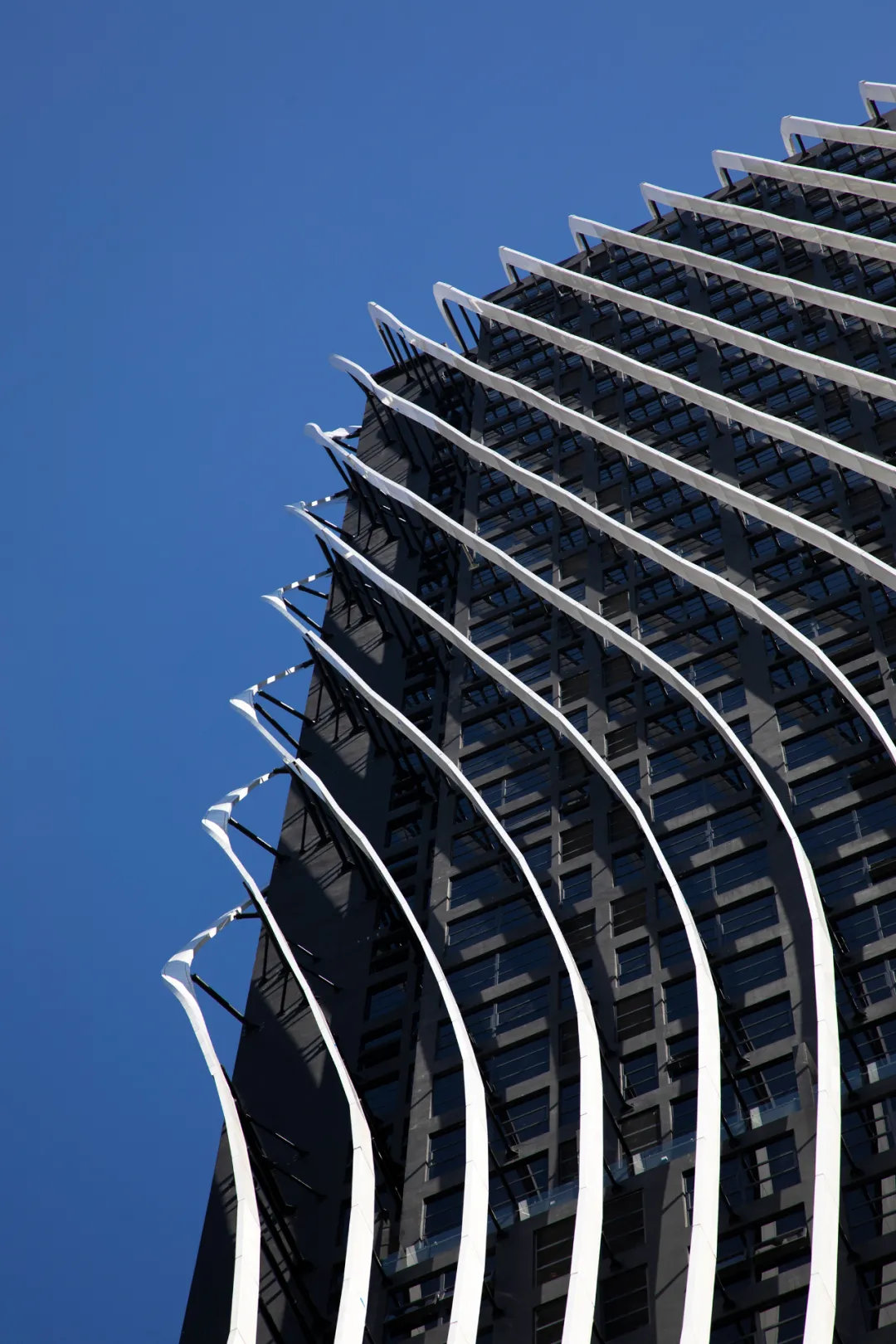 1629354569997402.png 010.png