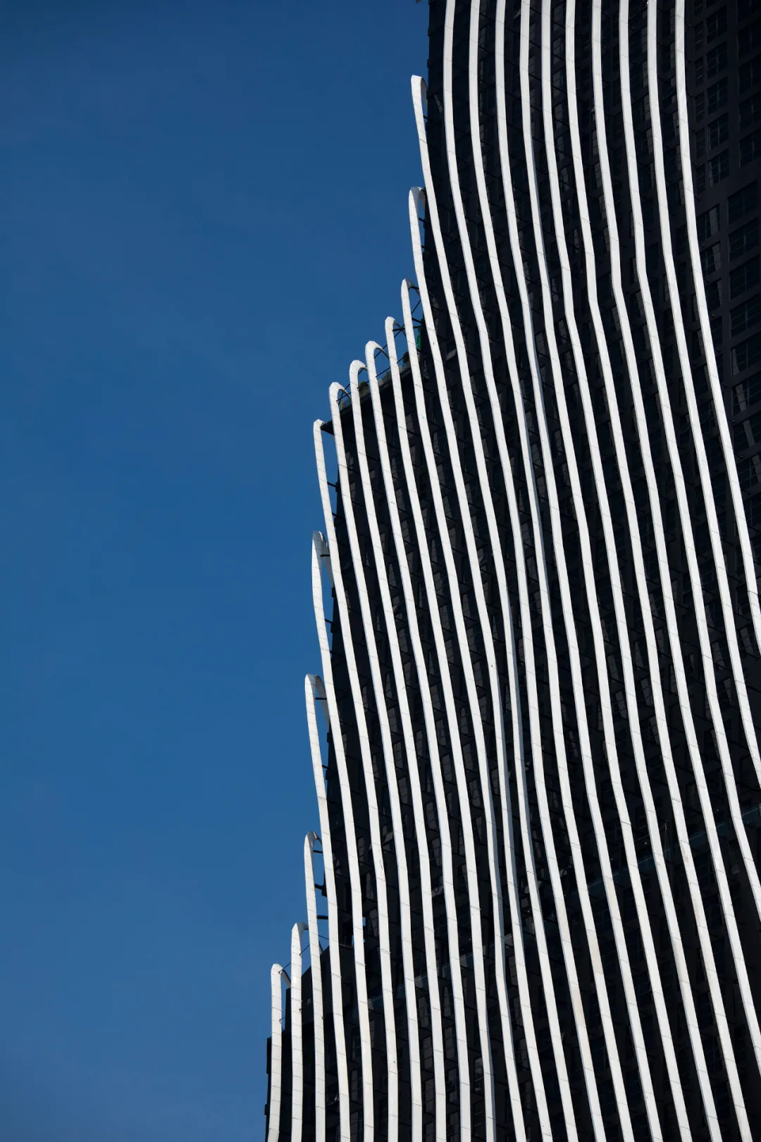 1629354637249566.png 011.png