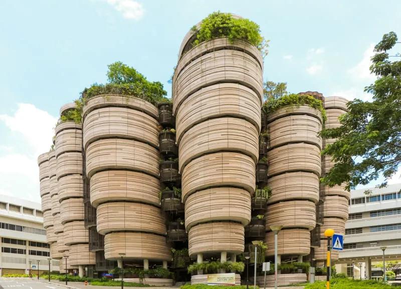 1629697527960443.jpg 01.jpg