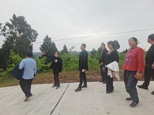 1648790539209314.jpg 02.jpg