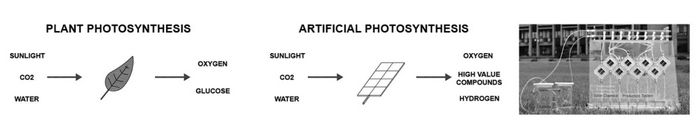 1651734635167225.jpg 05.jpg