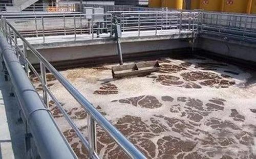 1669959220109066.jpg 06.jpg