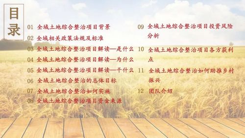 1678256819815610.jpg 04.jpg