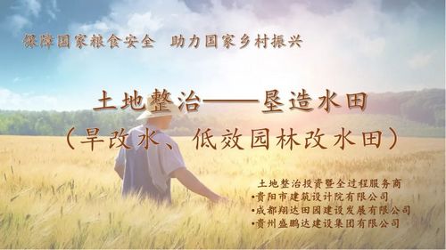 1678256823705810.jpg 05.jpg