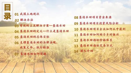 1678256828724000.jpg 06.jpg