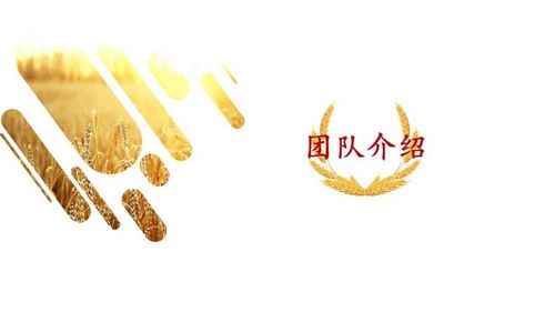 1678256832217144.jpg 07.jpg