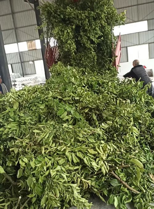 1680153953500747.jpg 04.jpg