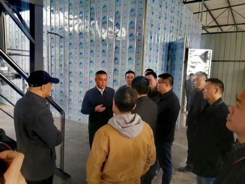 1680153979970896.jpg 05.jpg