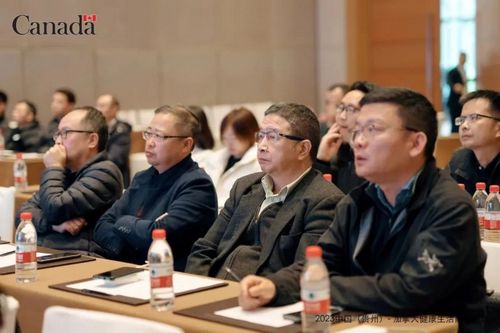 1700116941150150.jpg 02.jpg