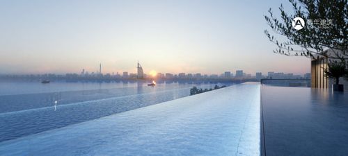 1703226286565841.jpg 010.jpg