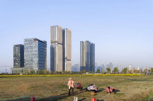 1704871362307545.jpg 04.jpg