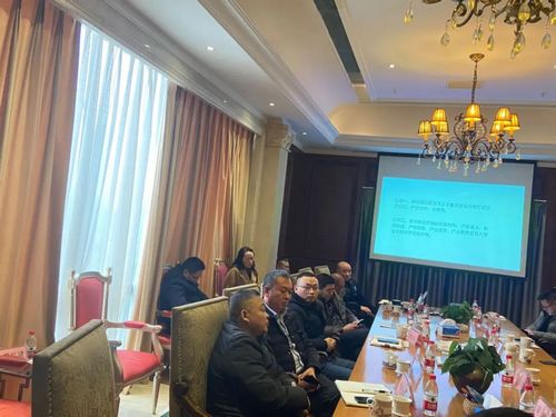 1709532587811805.jpg 02.jpg