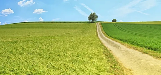 1713411976533177.jpg 640.webp.jpg